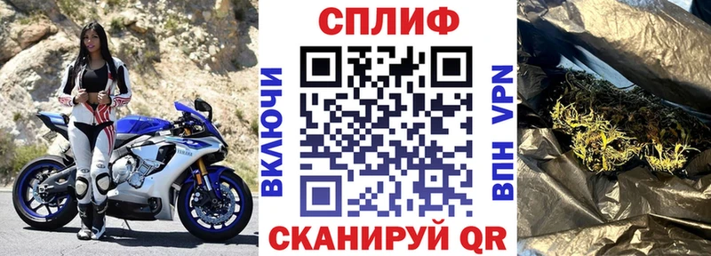 KRAKEN вход  Верея  Бошки марихуана планчик 